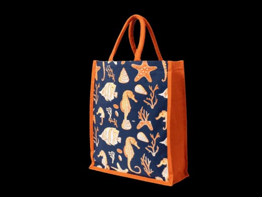 Laminated Orange Camvas bag